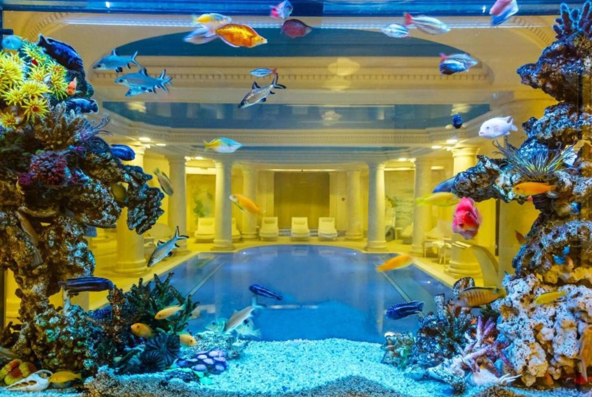 Palacyk Otrebusy Business & Spa Dış mekan fotoğraf